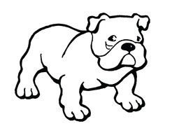 black and white drawing of a bulldog for coloring