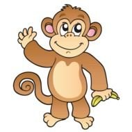 monky drawing