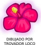 Luau Flower Panda Free Images