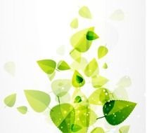 Abstract Green Leaves Vector Background Free Graphics All