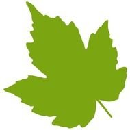 green leaf Silhouettes drawing