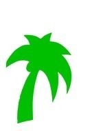 green Palm drawing