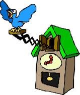 Cuckoo Bird drawing