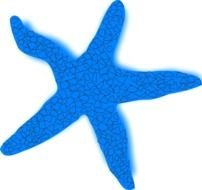 blue starfish on the blue background