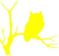Yellow Owl drawing