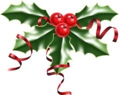 Christmas Holly Pdrawing