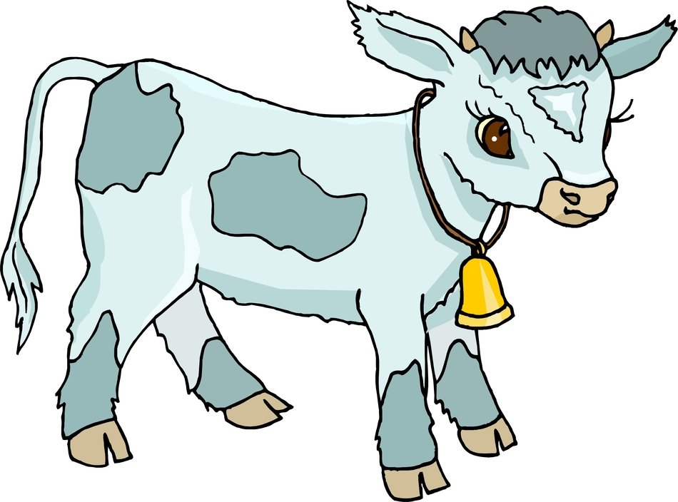 painted blue calf