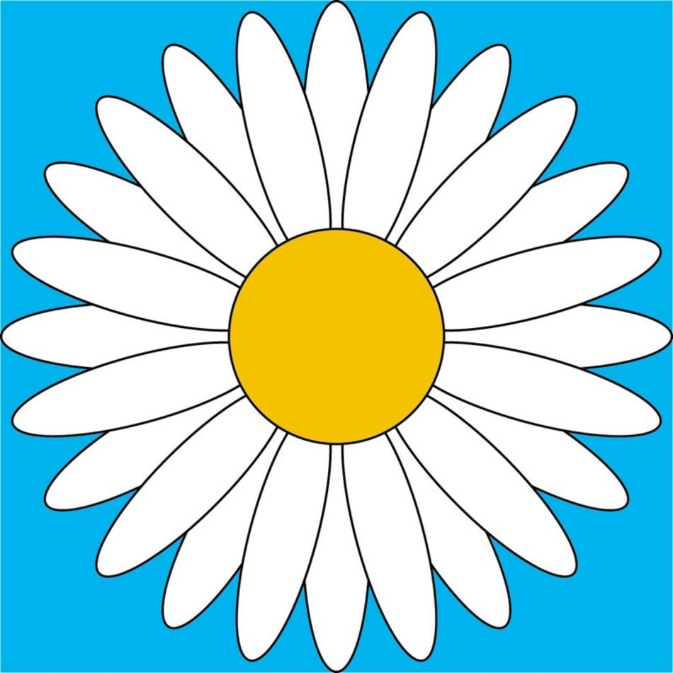 white daisy at blue square, drawing