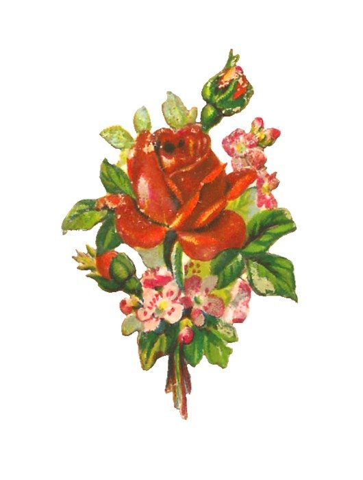bunch of colorful flowers for clipart
