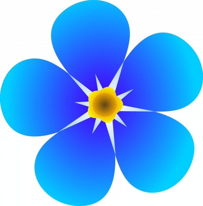 \ Images Of Flowers drawing