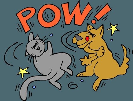 Cats And Dogs Fighting Hobbies & Leisure