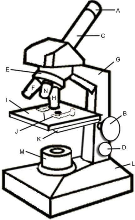 small microscope drawing
