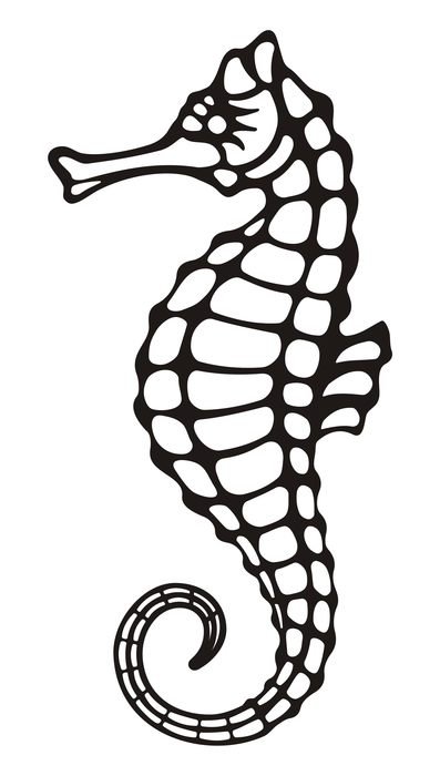 seahorse as picture