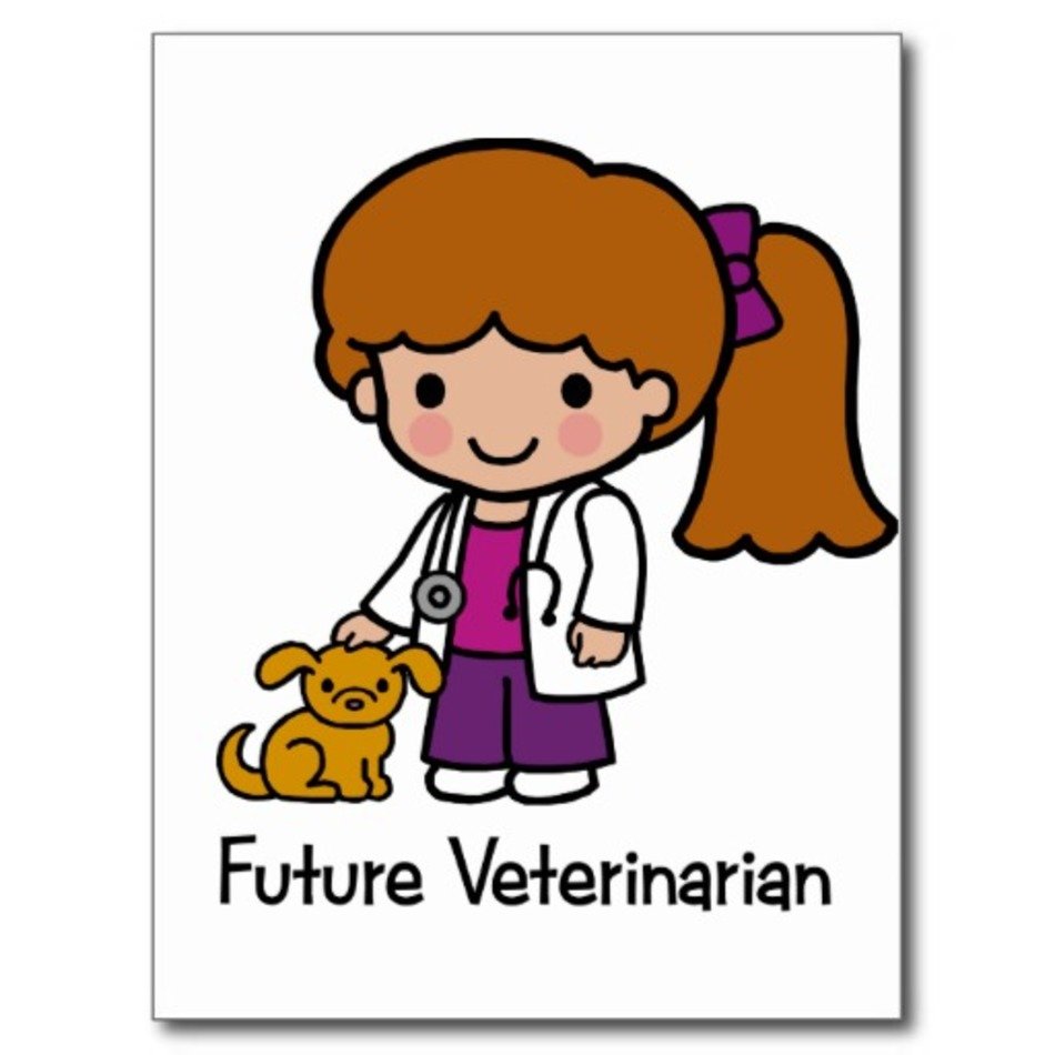Veterinarian Sco