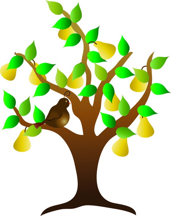 tree with pears as a picture for clipart