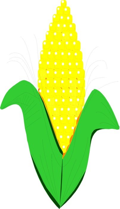 Fresh Vegetable drawing