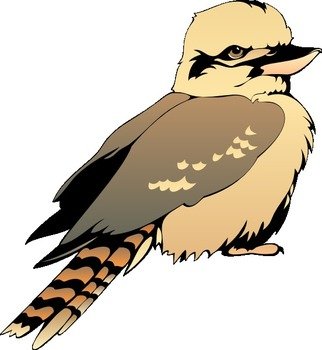 Young Bird drawing