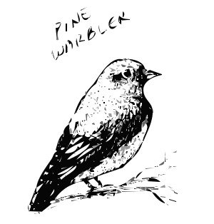 Clipart Search Results For Publicdomain