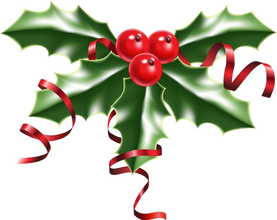 Christmas Holly Pdrawing