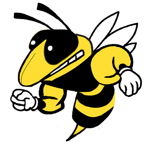 Angry Bumble Bee Cartoon drawing free image download