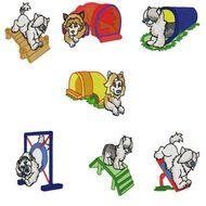 Crested Powder Puff Dog Pictures Chinese Symbols For Family Tattoos