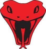 red Viper Snake head, drawing