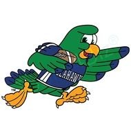 Seahawk School Mascot 016 2tjpg