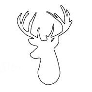 Browning Deer Head drawing