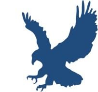 Blue Eagle drawing
