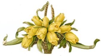 Free Antique yellow Flower drawing