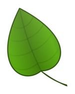 Clipart of single Green Leaf