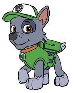 dog in lifeguard costume