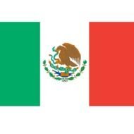 new mexico flag