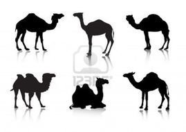 Camel Silhouette Google Search Christmas Pinterest