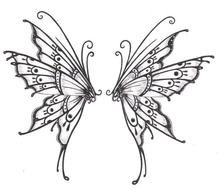drawing of two butterflies