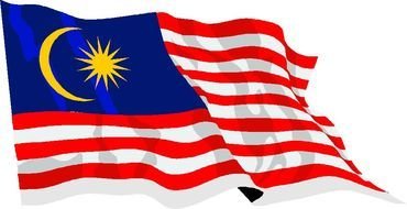 Creative Curriculum flag drawing