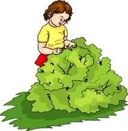 Girl Picking Fruit Free Microsoft