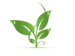 clipart of the green leaves