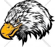 Eagle Head Vector Graphic Mascot Image