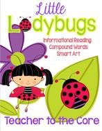 cover with a picture of a girl with a ladybug