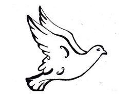 pigeon as a graphic illustration