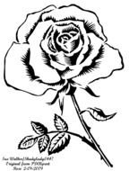 Rose Floral drawing