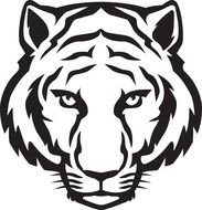 Tiger Eyes drawing