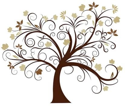 tree with twisting branches