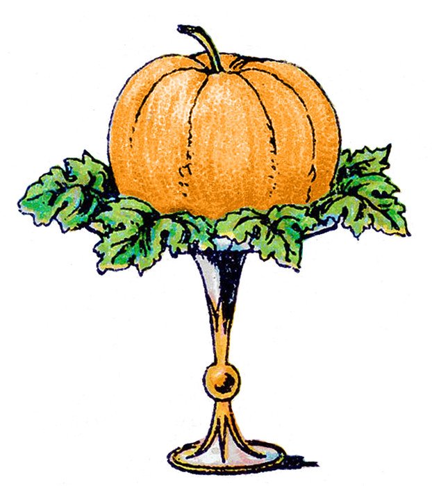 Vintage Pumpkin drawing free image download