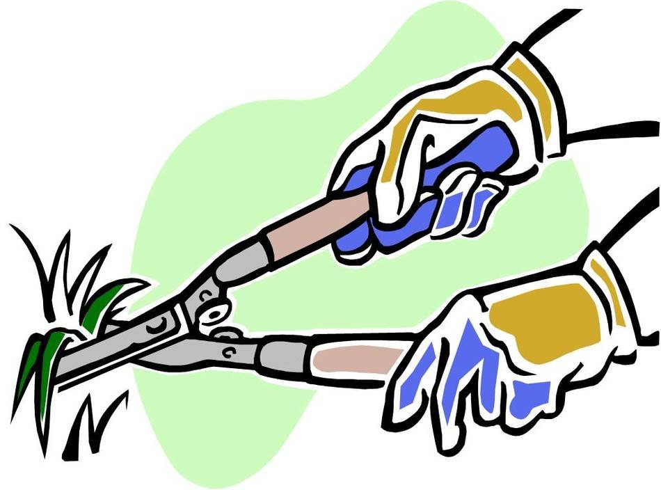 Volunteer At A Wildlife Area drawing