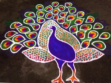 nice peacock drawing