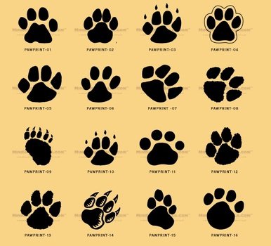 Image Detail For Kids And Everybody Paw Print Can Be Used