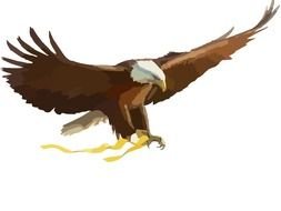 drawing of an American eagle