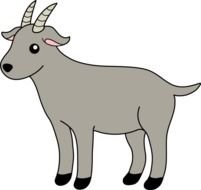 Little Gray Billy Goat Free